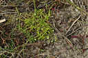 BUITEN BEELD Foto: 318150