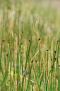 BUITEN BEELD Foto: 318151