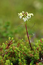 BUITEN BEELD Foto: 318162