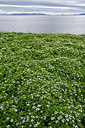 BUITEN BEELD Foto: 318171