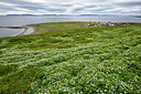 BUITEN BEELD Foto: 318174