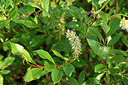 BUITEN BEELD Foto: 318181