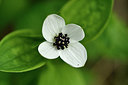 BUITEN BEELD Foto: 318185
