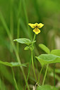 BUITEN BEELD Foto: 318189