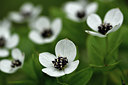 BUITEN BEELD Foto: 318191