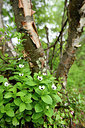 BUITEN BEELD Foto: 318195