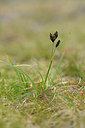 BUITEN BEELD Foto: 318200