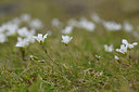 BUITEN BEELD Foto: 318202