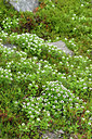BUITEN BEELD Foto: 318219