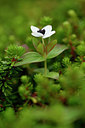 BUITEN BEELD Foto: 318226