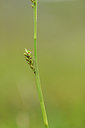 BUITEN BEELD Foto: 318234