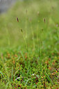 BUITEN BEELD Foto: 318235