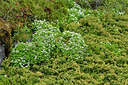 BUITEN BEELD Foto: 318236