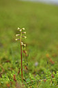 BUITEN BEELD Foto: 318246
