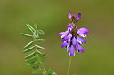 BUITEN BEELD Foto: 318251