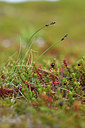 BUITEN BEELD Foto: 318260