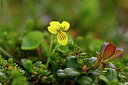 BUITEN BEELD Foto: 318288