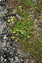 BUITEN BEELD Foto: 318307