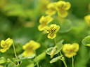 BUITEN BEELD Foto: 318350