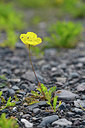 BUITEN BEELD Foto: 318355