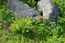 BUITEN BEELD Foto: 318360