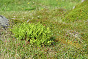BUITEN BEELD Foto: 318361