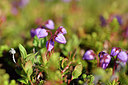 BUITEN BEELD Foto: 318383