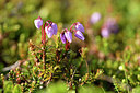 BUITEN BEELD Foto: 318384