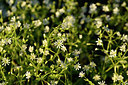 BUITEN BEELD Foto: 318405