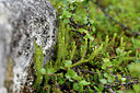 BUITEN BEELD Foto: 318415