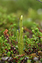 BUITEN BEELD Foto: 318416