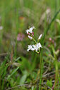 BUITEN BEELD Foto: 318424