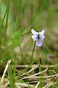 BUITEN BEELD Foto: 318430