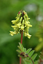 BUITEN BEELD Foto: 318435