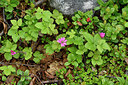 BUITEN BEELD Foto: 318436