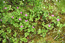 BUITEN BEELD Foto: 318441