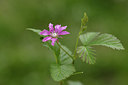 BUITEN BEELD Foto: 318442