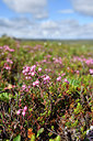 BUITEN BEELD Foto: 318452