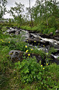 BUITEN BEELD Foto: 318459