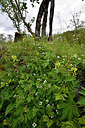 BUITEN BEELD Foto: 318460