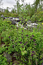 BUITEN BEELD Foto: 318462
