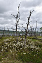 BUITEN BEELD Foto: 318477