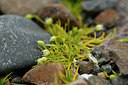 BUITEN BEELD Foto: 318536