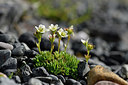 BUITEN BEELD Foto: 318550