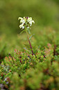 BUITEN BEELD Foto: 318553