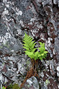 BUITEN BEELD Foto: 318562