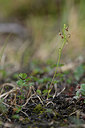 BUITEN BEELD Foto: 318572