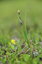 BUITEN BEELD Foto: 318573