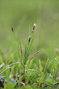 BUITEN BEELD Foto: 318574