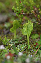 BUITEN BEELD Foto: 318578